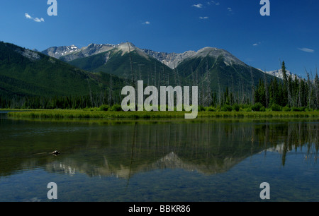 Rocky Mountains reflektiert in Vermillion Seen Stockfoto