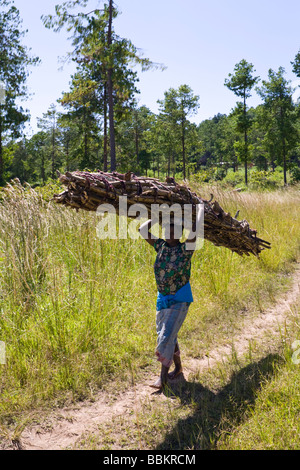 Eine Frau, die trägt einer schweren Last von Brennholz nach unten vom Flugfeld Berg, Flugfeld, Malawi, Afrika Stockfoto