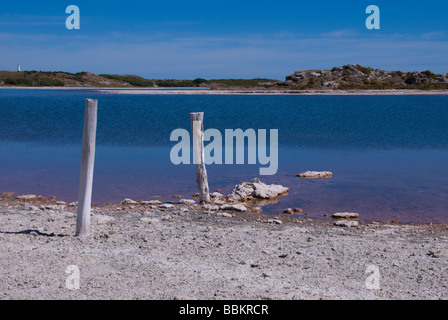 Rottnest Island - Salt Lake City Stockfoto