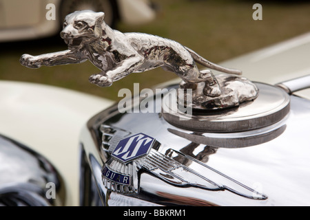 Erste springenden Jaguar Maskottchen Autofahren auf Vorderseite 1936 British made SS15 Auto Stockfoto