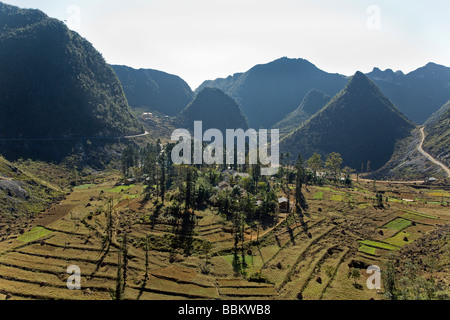 Heiliger Hain mit dem Palast der letzten Hmong König Sittning auf einem Hügel in Nha Ho Vuong Dorf in Ha Giang Landtages Stockfoto