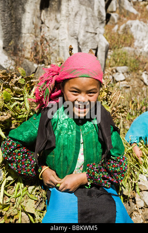 Blaue Hmong Mädchen Lachen vor dem tragen einer Last der Bohnen auf Route 4C in Richtung Dong Van im äußersten Norden Ha Giang Provinz Stockfoto