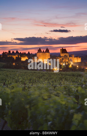 Carcassonne in der Dämmerung aus den Weinbergen außerhalb der Stadt. Languedoc-Roussillon. Frankreich Stockfoto