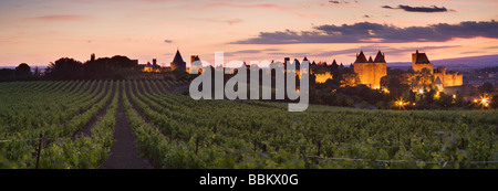 Carcassonne in der Dämmerung aus den Weinbergen außerhalb der Stadt. Languedoc-Roussillon. Frankreich Stockfoto