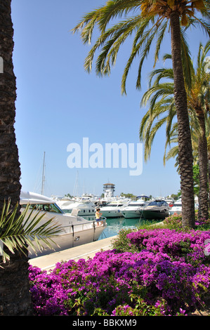 Blick auf die Marina, Puerto Portals, Portals Nous / Bendinat, Gemeinde Palma, Mallorca, Balearen, Spanien Stockfoto