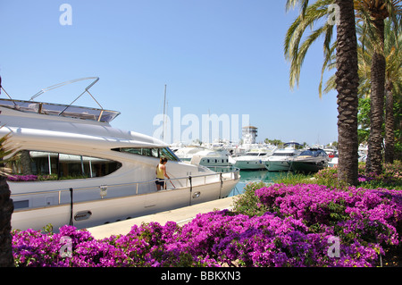 Blick auf die Marina, Puerto Portals, Portals Nous / Bendinat, Gemeinde Palma, Mallorca, Balearen, Spanien Stockfoto