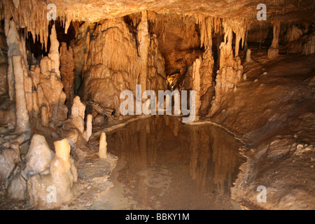 Stalaktiten In Kalkstein Karst Höhle, Grotte Roland, in der Nähe von Montcuq, Midi-Pyrénées, Frankreich Stockfoto