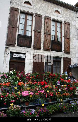 Blume-Stall In einem traditionellen französischen Markt an Montcuq, Lot, Midi-Pyrénées, Frankreich Stockfoto