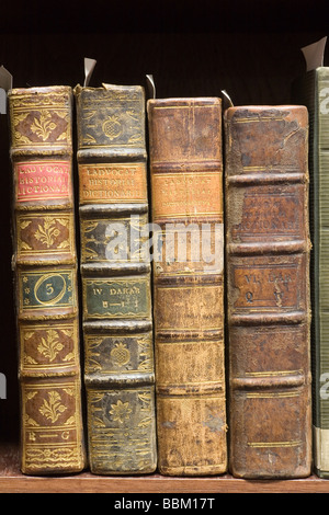 alte Bücher im Regal Stockfoto