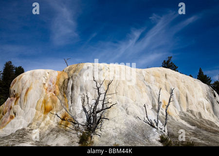 Orange Spring Travertin Mound Mammoth Hot Springs Yellowstone-Nationalpark Wyoming USA, horizontale Stockfoto