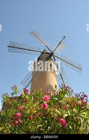 Alte Windmühle, Santa Ponsa (Santa Ponca), Mallorca (Mallorca), Balearen, Spanien Stockfoto