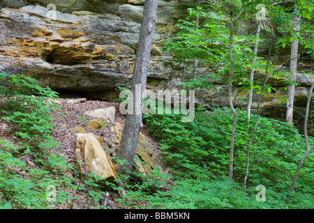 Sandstein Felsen, Woodman hohlen Zustand zu bewahren, Webster County, Iowa Stockfoto