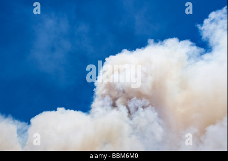 Wolken von dicken Rauch Aufstieg vom Jesusita Feuer Santa Barbara Kalifornien Mai 2009 Stockfoto