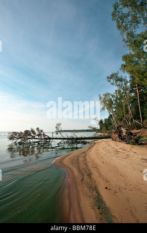 Küste auf das Kurische Haff, Kuroeiu Nerija Nationalpark auf der Kurischen Nehrung in der Nähe von Nida in Litauen Stockfoto