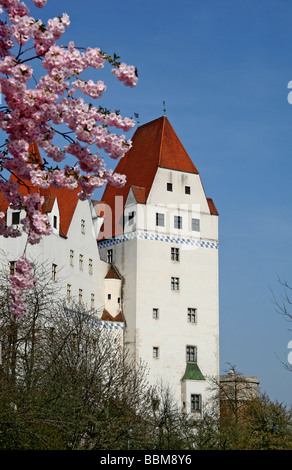 Neues Schloss, erbaut im 15. Jahrhundert von Duke Ludwig der Gebartete, Bayerisches Armeemuseum, Frühling, Ingolstadt, Bayern, Deutschland, Stockfoto