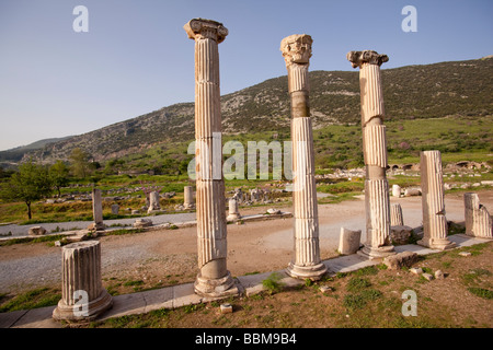 Antiken ionischen Säulen aufgereiht neben einer Straße in Ephesus in der Türkei Stockfoto