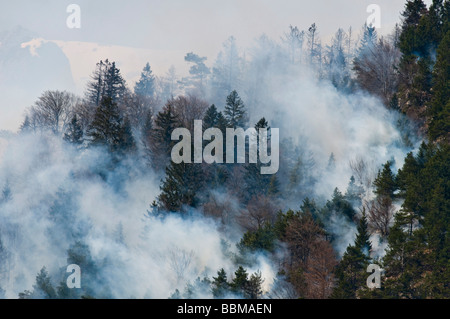 Waldbrand in der Region Karwendel bei Innsbruck, Tirol, Österreich Stockfoto