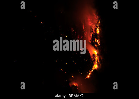 Waldbrand in der Region Karwendel bei Innsbruck, Tirol, Österreich Stockfoto