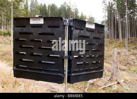 Insektenfalle für Borkenkäfer, Bioengineering, Waldschutz ohne toxische Stoffe, Karwendel Range, Tirol, Österreich, Euro Stockfoto