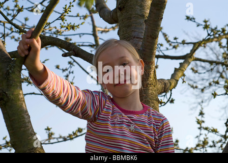 Mädchen, hat 6 Jahre in einem Kirschbaum bestiegen. Stockfoto