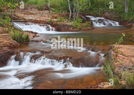 Buley Rockhole im Litchfield National Park Northern Territory Australien Stockfoto