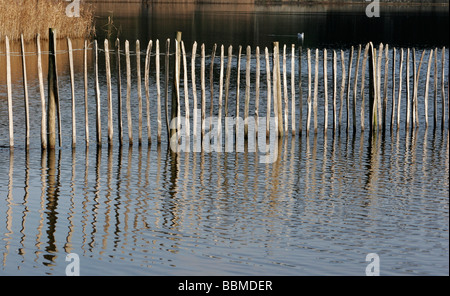 Fechten an Frensham Teiche in Surrey Stockfoto