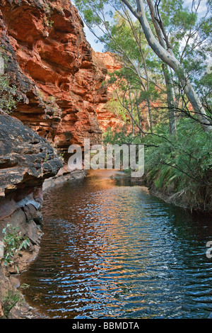 Australien, Northern Territory. Eine permanente Regenwasser Pool am Kings Canyon. Stockfoto