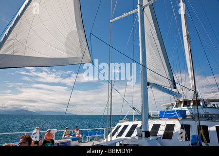 Australien, Queensland. Wavedancer - ein Luxus-Segel-Katamaran - nimmt Touristen auf Tagesausflüge zu den Low Isles Stockfoto