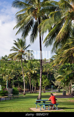 Australien, Queensland. Eine kommunale Erholungsgebiet in der Nähe von der Strand von Port Douglas im Norden Queenslands. Stockfoto