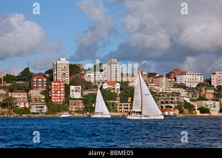 New South Wales in Australien. Segeln am späten Nachmittag aus Double Bay im Hafen von Sydney. Stockfoto