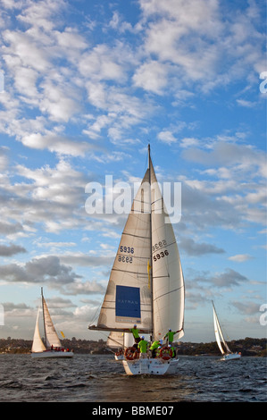 New South Wales in Australien. Segeln am späten Nachmittag im Hafen von Sydney. Stockfoto