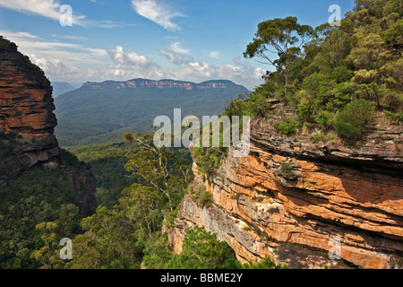 New South Wales in Australien. Ein Blick auf das Jamison Valley in den Blue Mountains von Prinz Henry Cliff Walk. Stockfoto