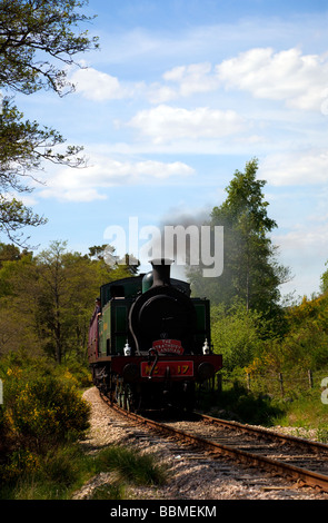 Restaurierte Dampflok, Lok auf der Strathspey Steam Museumsbahn auf dem Boot von Garten, Aviemore, Cairngorms National Park Schottland Großbritannien Stockfoto