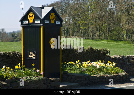 Dh AA Box ROAD UK Rescue Service Panne am Straßenrand Telefon, Notruf Stockfoto