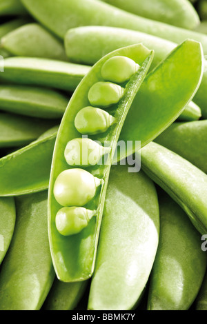 Zucker Erbsenschoten Stockfoto