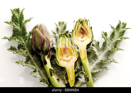 Artischocken und Artischocken-Blätter Stockfoto