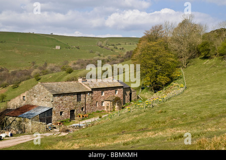 dh North Pennines Valley SWINDALE CUMBRIA England idyllische englische Farm Cottage in countryside House uk Bauernhaus außen Stockfoto