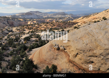 Blick vom einen Pass auf Highway 12 auf Teile des Dixie National Forest zwischen Boulder und Torrey, Utah, USA Stockfoto