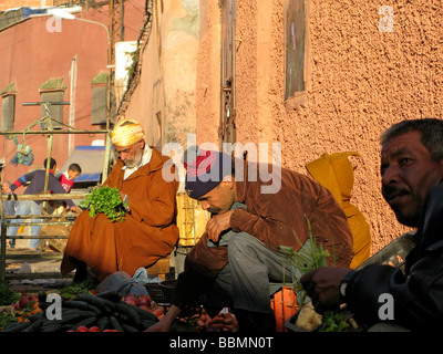 Kräutermarkt in Marrakesch Souk Marokkos Stockfoto