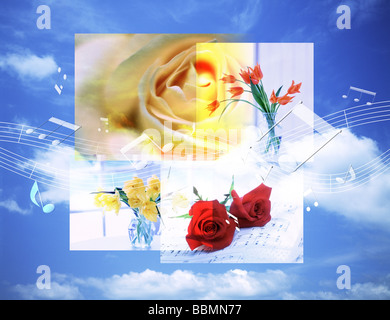 Collage von schönen Blumen Stockfoto