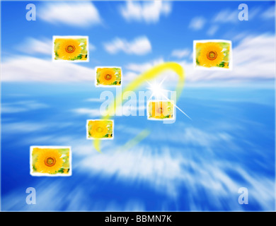 Ansicht der Collage von Sonnenblumen Stockfoto