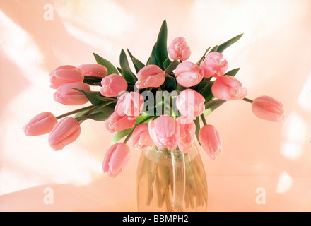 Nahaufnahme von rosa Tulpen in einem Glas Stockfoto