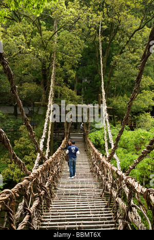 Kazurabashi Rebe Brücke im Iya Tal der Shikoku, Japan Stockfoto