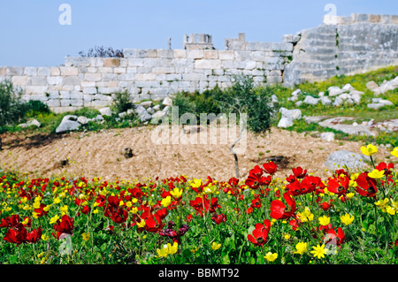 Wand bei Simeon Kloster Quala'at Samaan, Dead Cities, Syrien, Asien Stockfoto