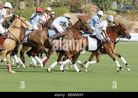 Polospiel, Dubai, Vereinigte Arabische Emirate Stockfoto