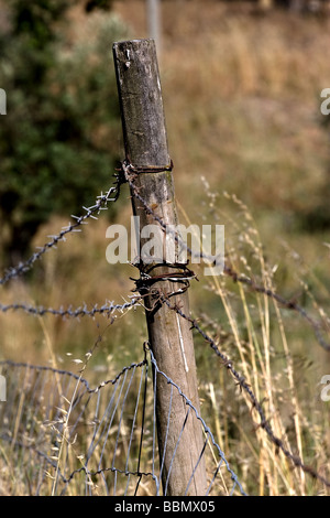 ein Zaun mit Stacheldraht Stockfoto