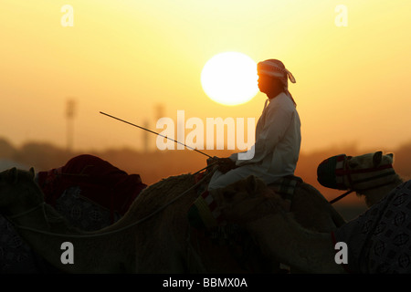 Kamel-Treiber in der Wüste bei Sonnenaufgang, Dubai, Vereinigte Arabische Emirate Stockfoto