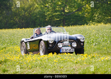 AC Bristol, Baujahr 1957, Vorgänger des AC Cobra, Rarität, motor Oldtimerrallye Wiesbaden 2009, Hessen, Deutschland, Europa Stockfoto