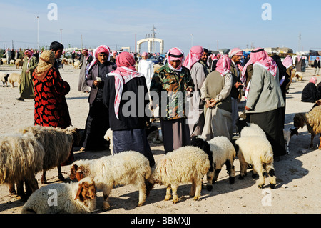Männer auf einem Markt für Schafe und Ziegen, Kafseh, Syrien, Asien Stockfoto