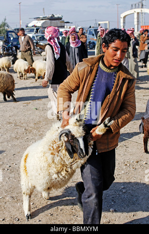Männer auf einem Markt für Schafe und Ziegen, Kafseh, Syrien, Asien Stockfoto